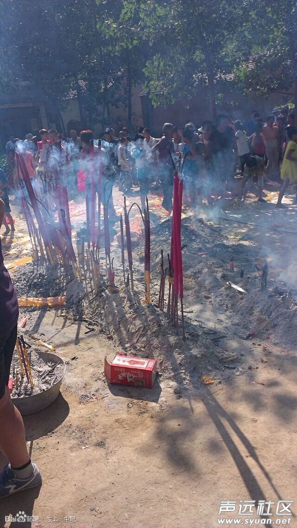 汶上康驿某村的“蛇”，引发村民祭拜，求真相1.jpg