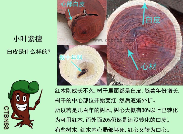 1白皮是什么样的.jpg