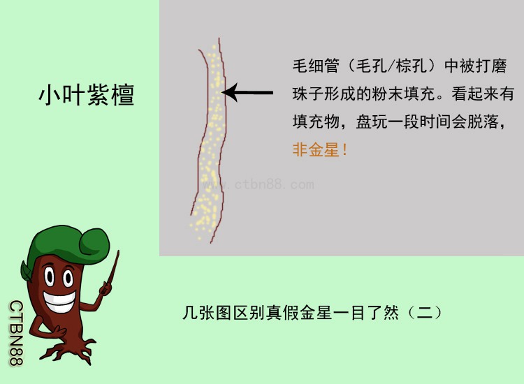 小叶紫檀  几张图区别真假金星一目了然（二）.jpg