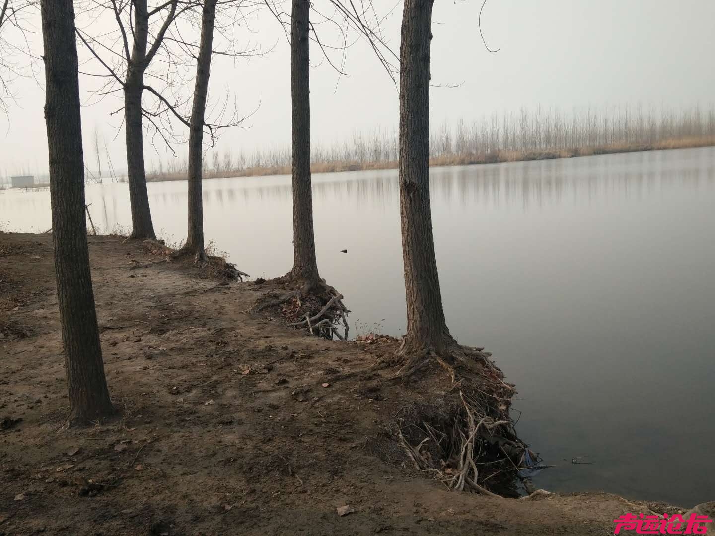 阳光灿烂，但地总是湿的，临近水岸的树还死死抓住泥土