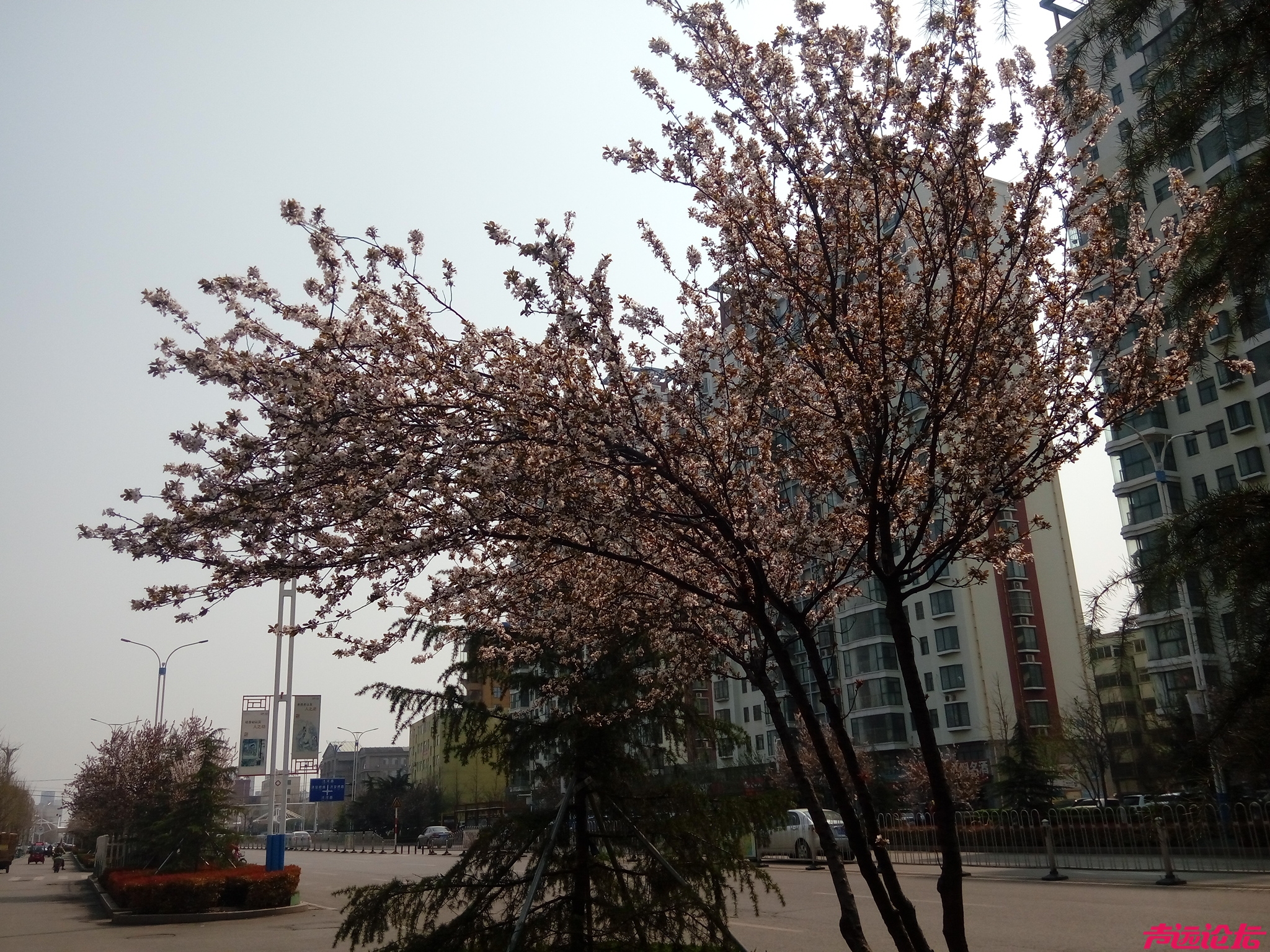 P80324-111505.jpg