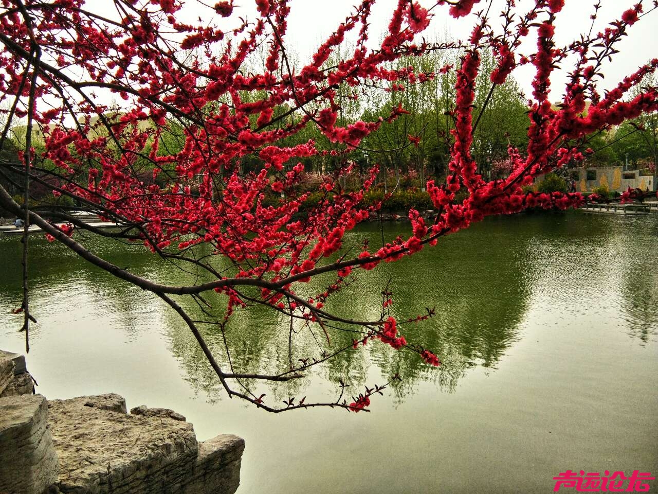 20180403_308184_1522742649469.jpg