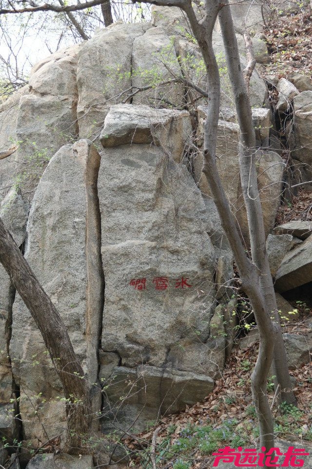 QQ图片20180401192410.jpg