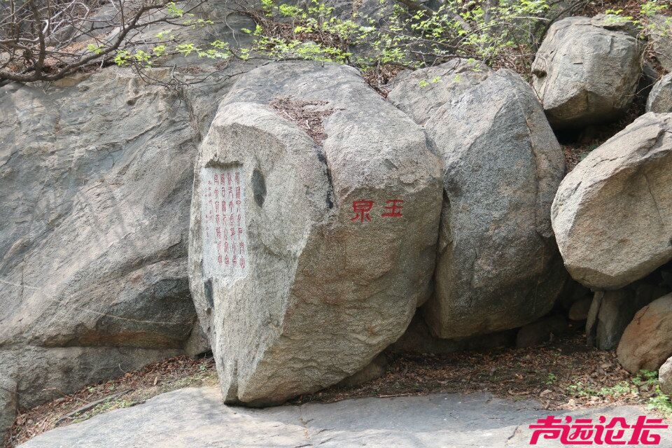QQ图片20180401192335.jpg