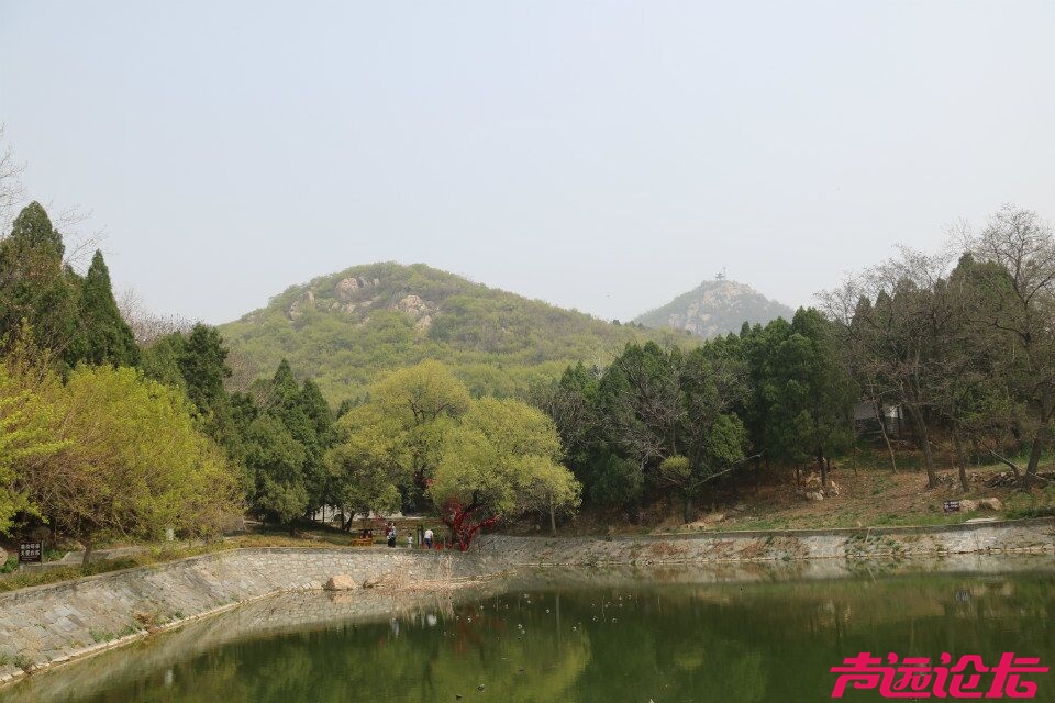 QQ图片20180401192437.jpg