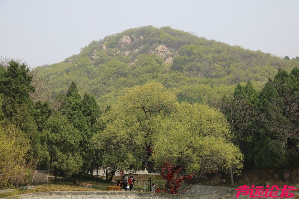 QQ图片20180401192450.jpg