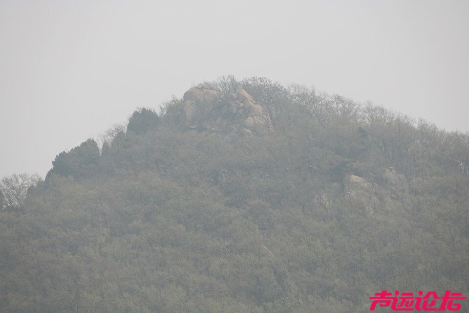 QQ图片20180401192610.jpg