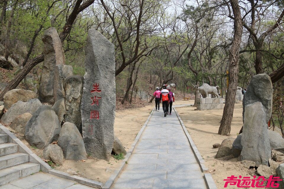 QQ图片20180401193651.jpg
