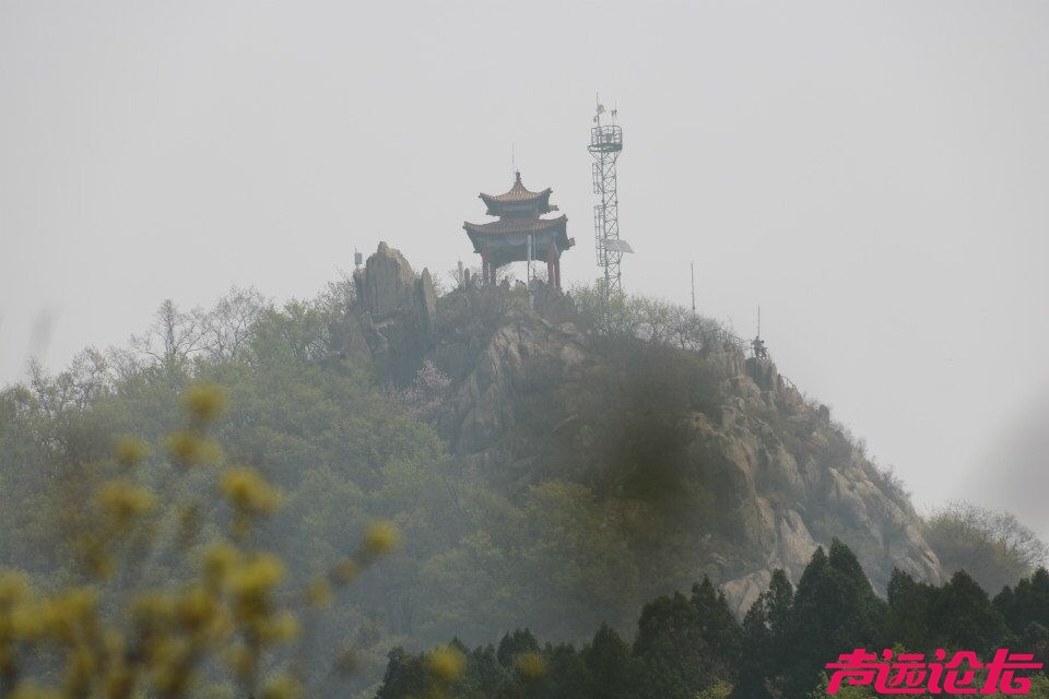 QQ图片20180401192759.jpg