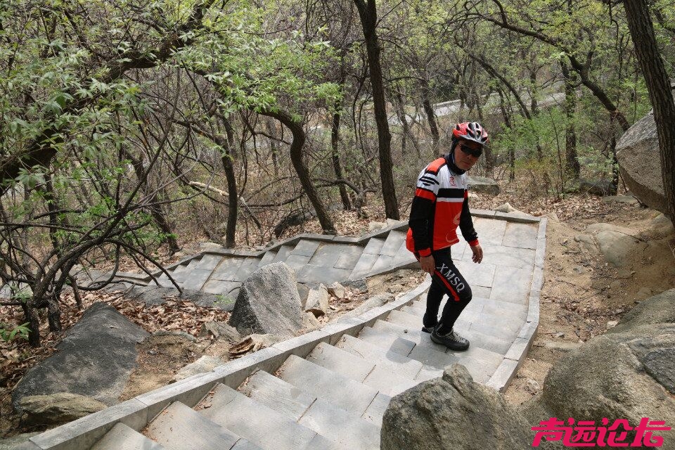 QQ图片20180401192927.jpg