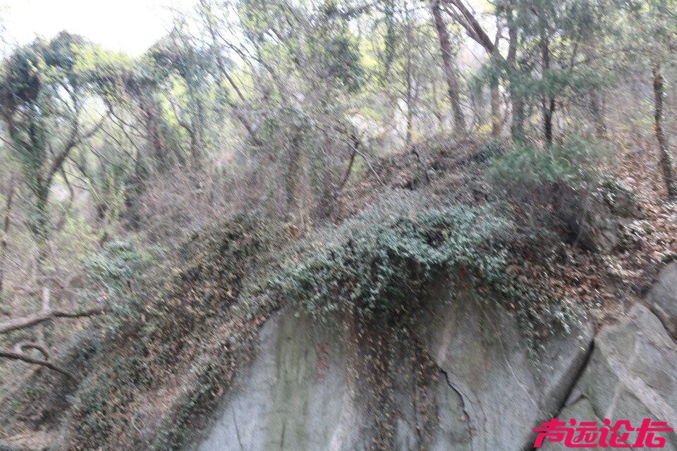 QQ图片20180401193404.jpg