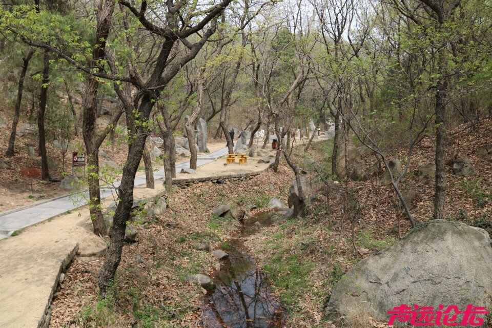 QQ图片20180401193357.jpg