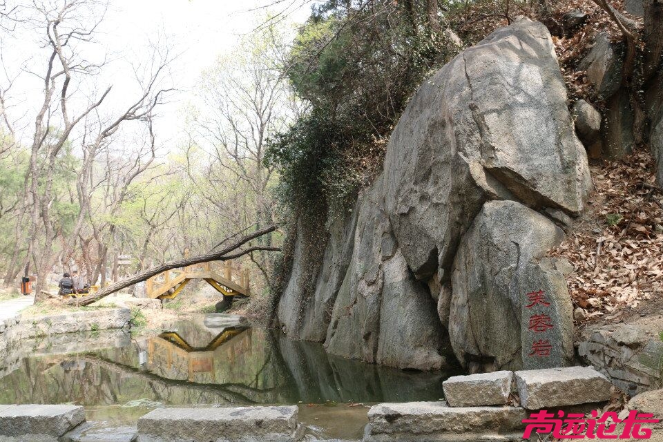QQ图片20180401193409.jpg