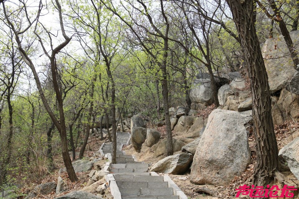 QQ图片20180401194040.jpg