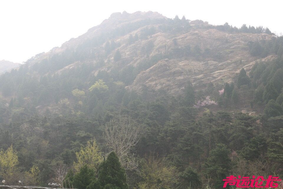 QQ图片20180401193759.jpg
