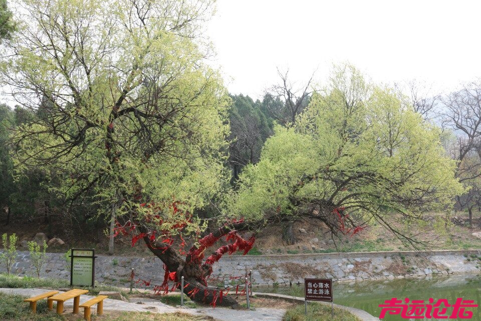 QQ图片20180401193841.jpg