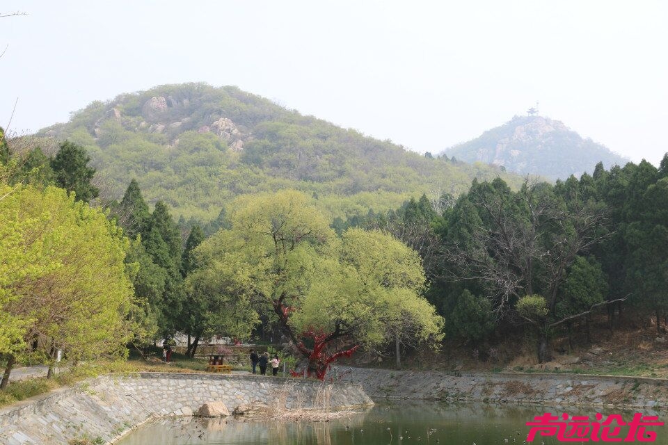 QQ图片20180401193837.jpg