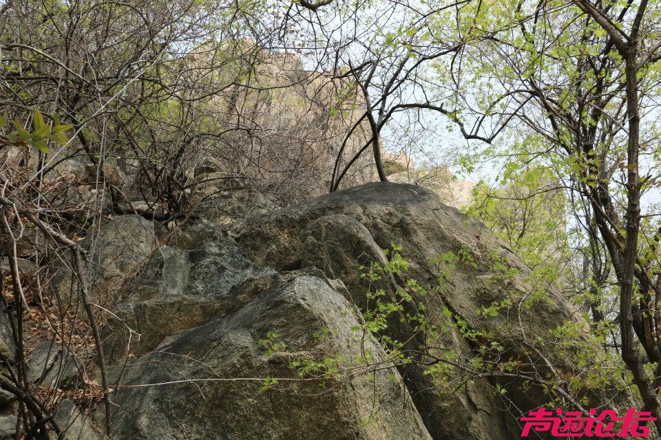 QQ图片20180401201740.jpg