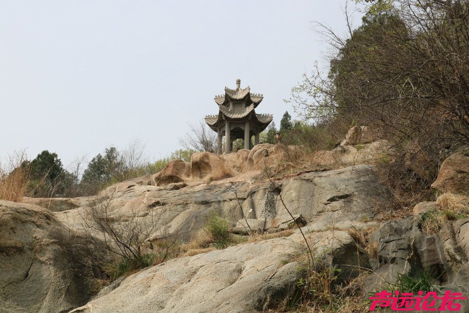 QQ图片20180402092114.jpg