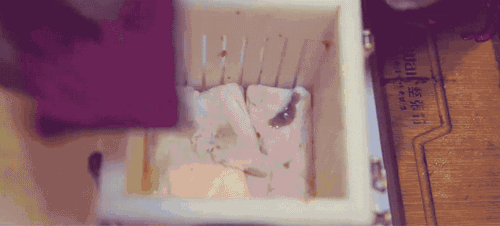 15241850938929.gif