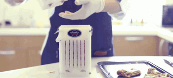 15241850939937.gif