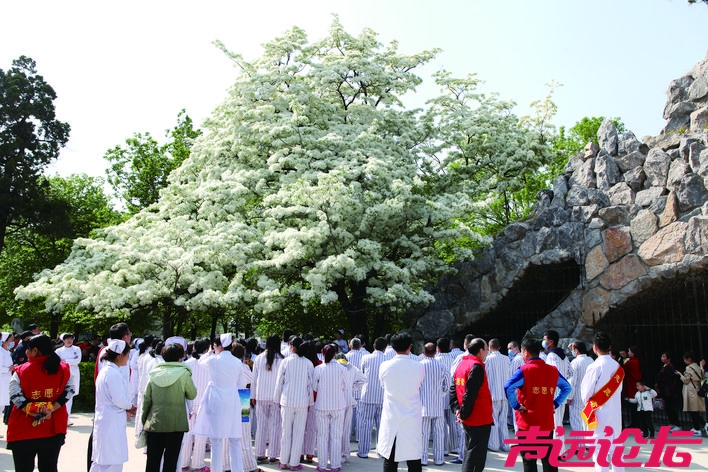 流苏花开 温情常在.jpg