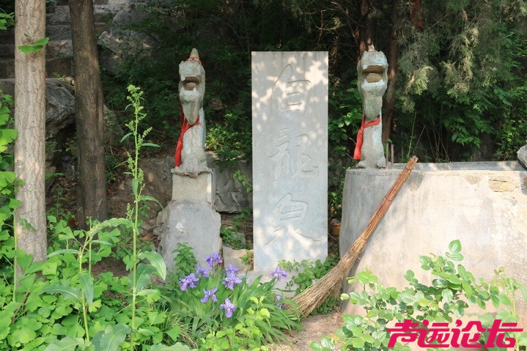 QQ图片20180501185130.jpg