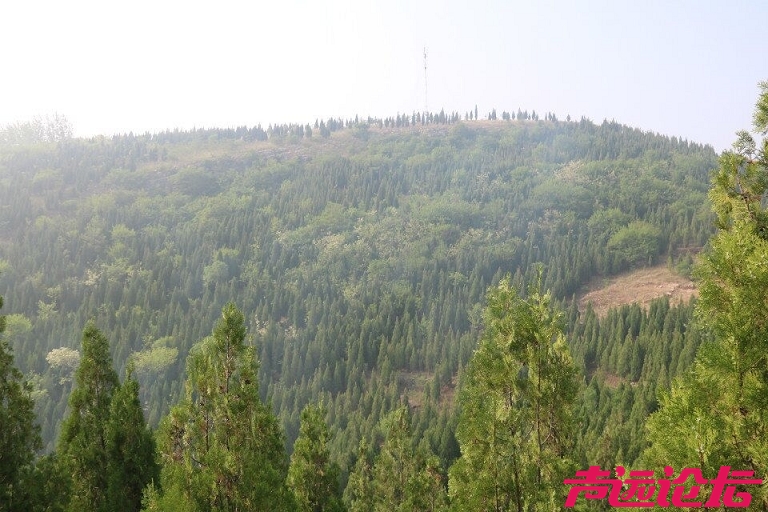 QQ图片20180501185617.jpg