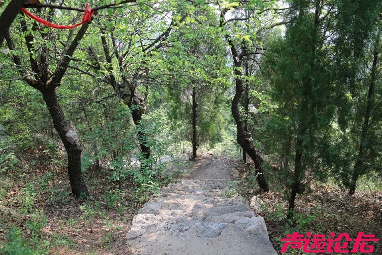 QQ图片20180501185723.jpg