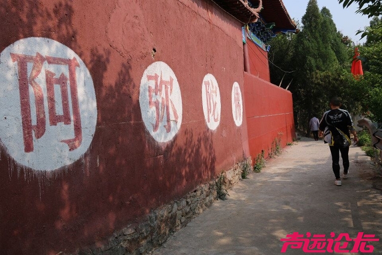 QQ图片20180501185741.jpg