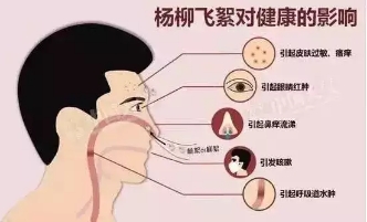 微信图片_20180503180328.jpg