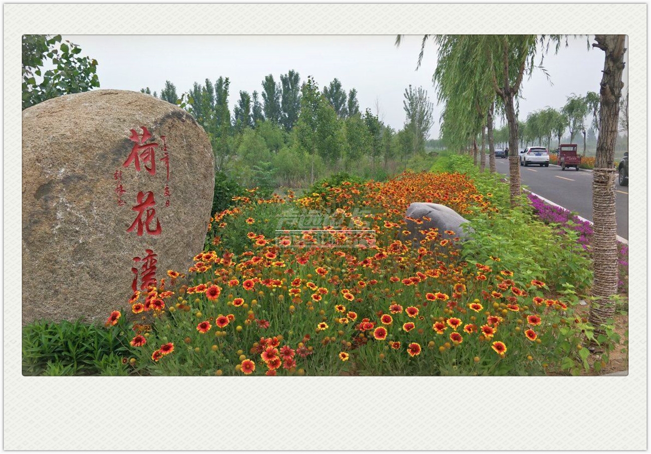 QQ图片20180528130931.jpg