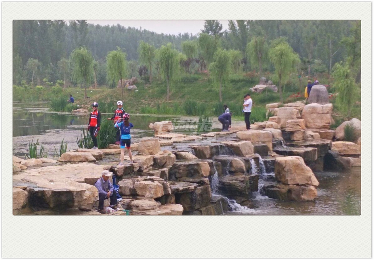 QQ图片20180528131043.jpg