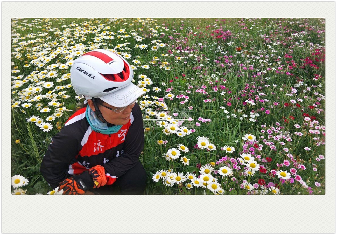 QQ图片20180528131124.jpg