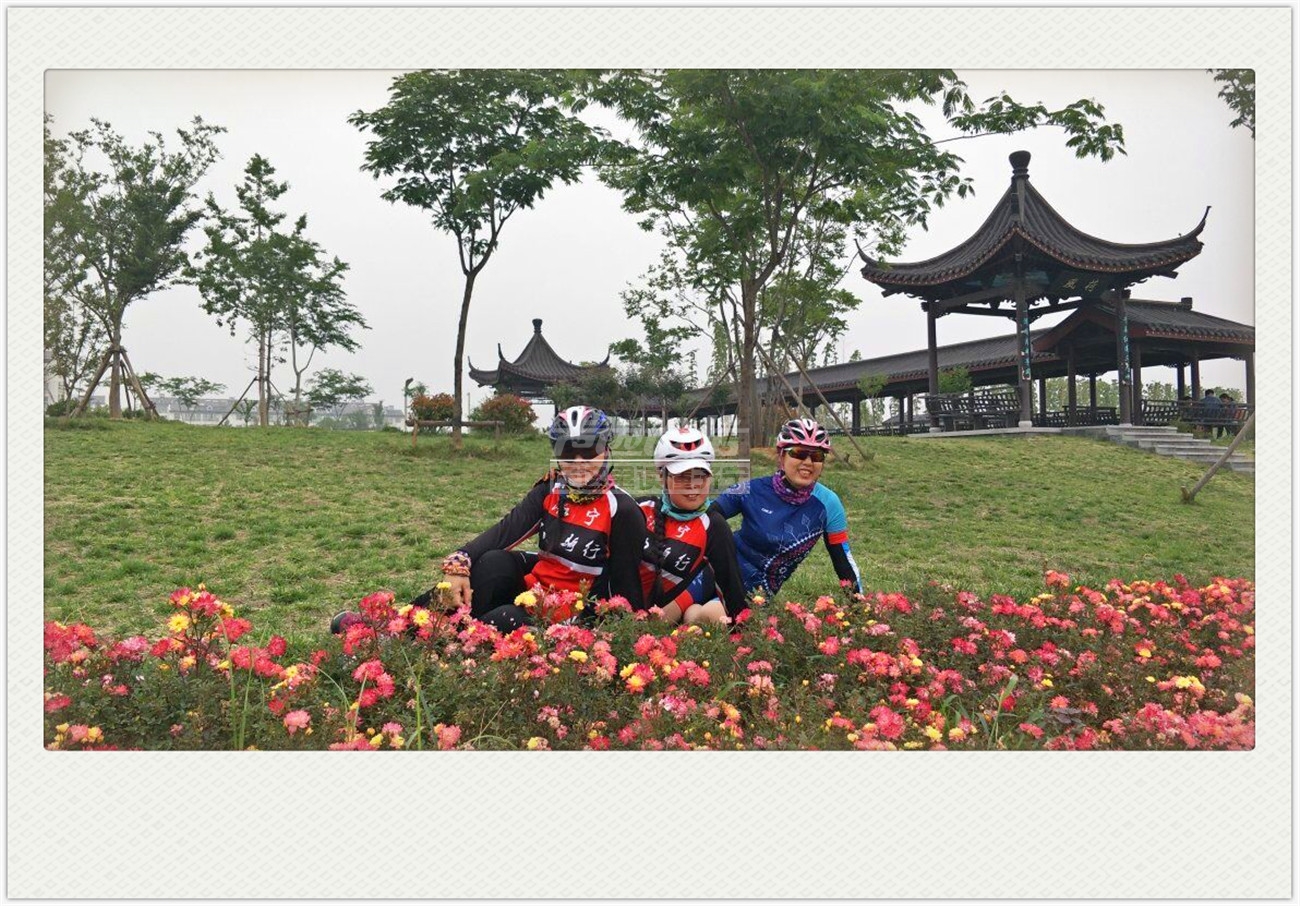 QQ图片20180528131146.jpg