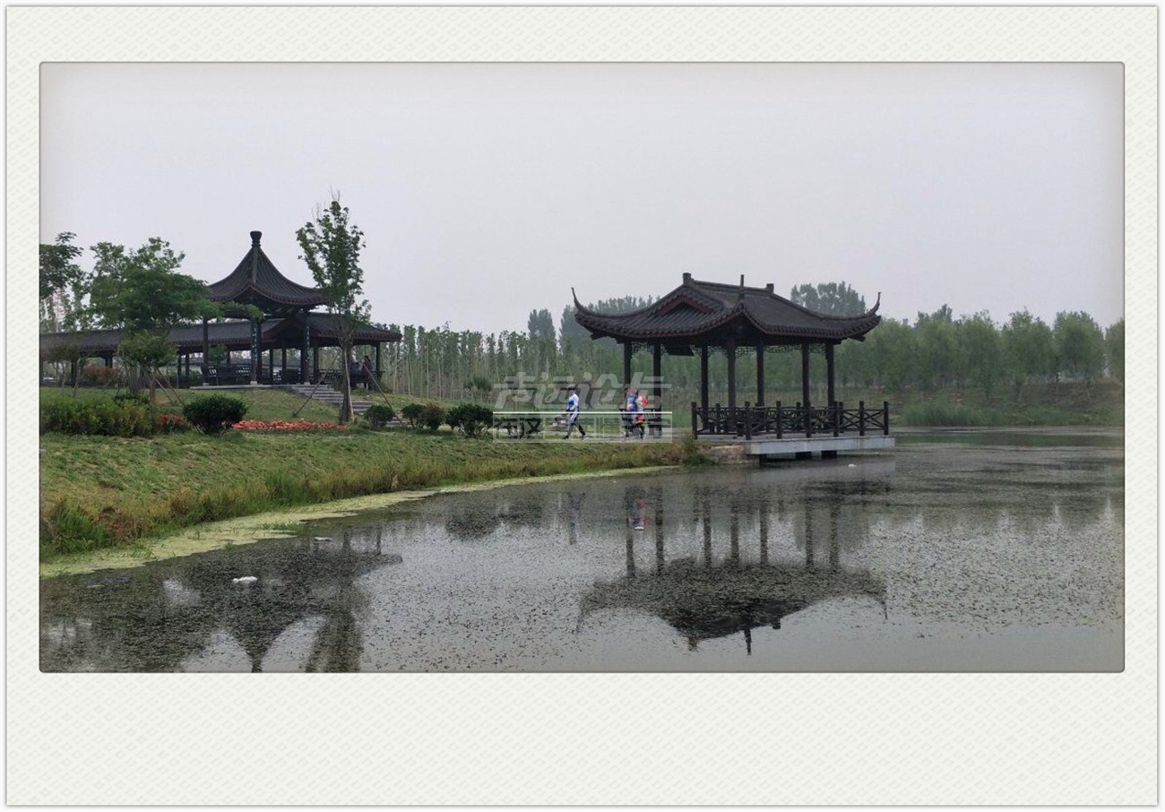 QQ图片20180528131158.jpg