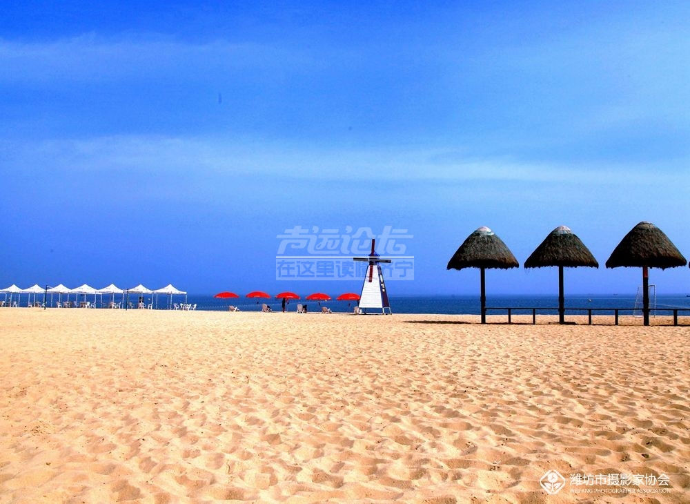 203840wt53qdj7h7frptr9 (1).jpg