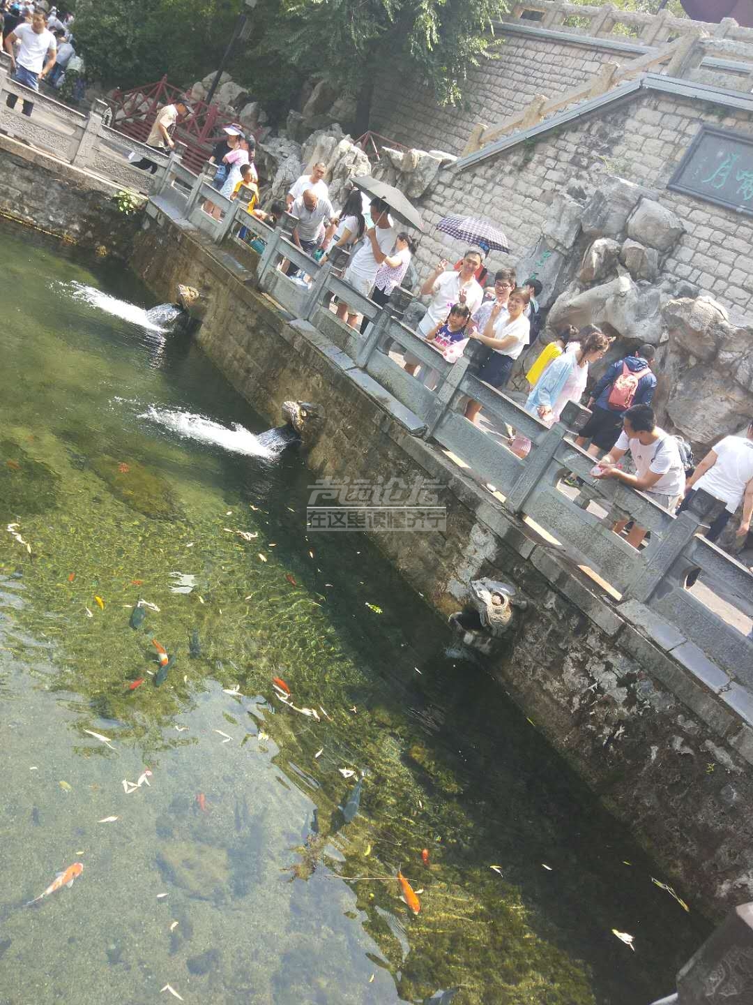 微信图片_20180604120247.jpg