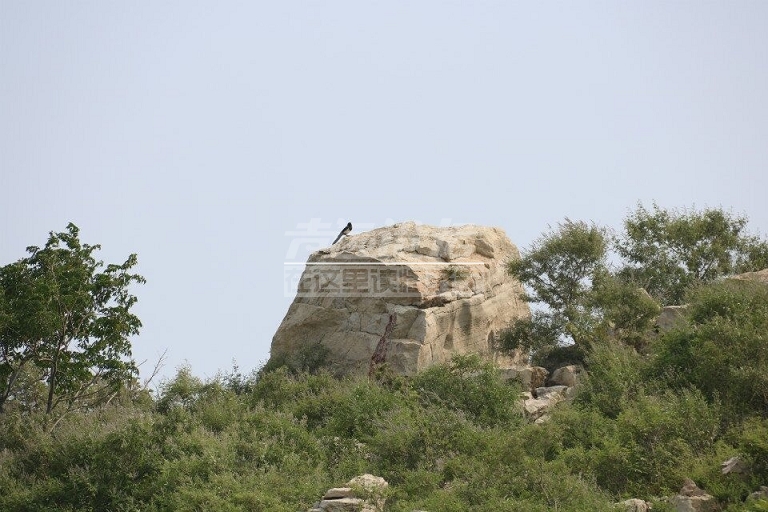QQ图片20180604152119.jpg
