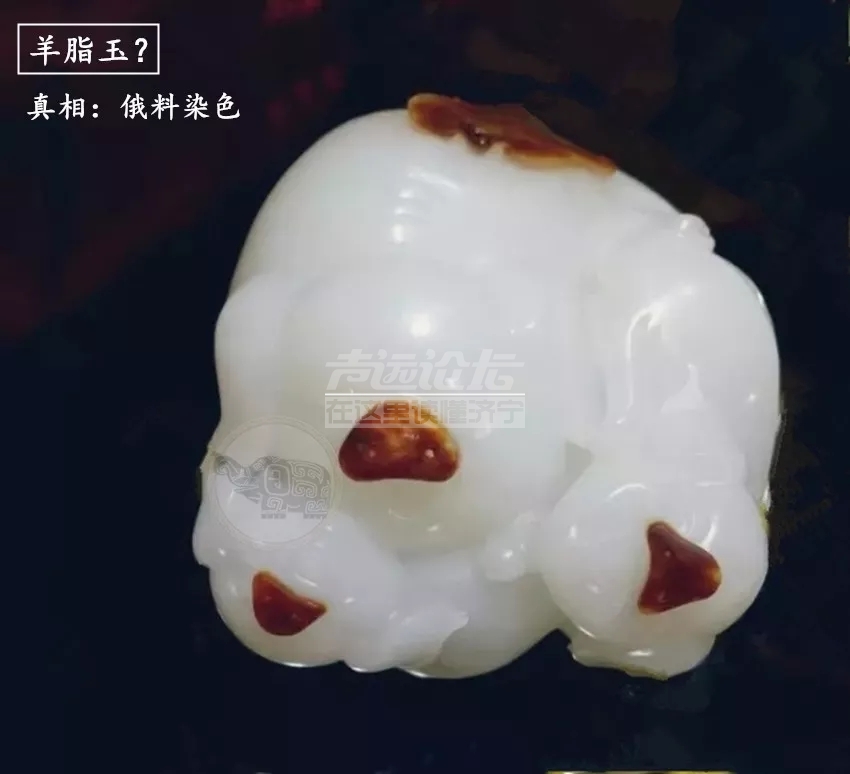 8.webp.jpg