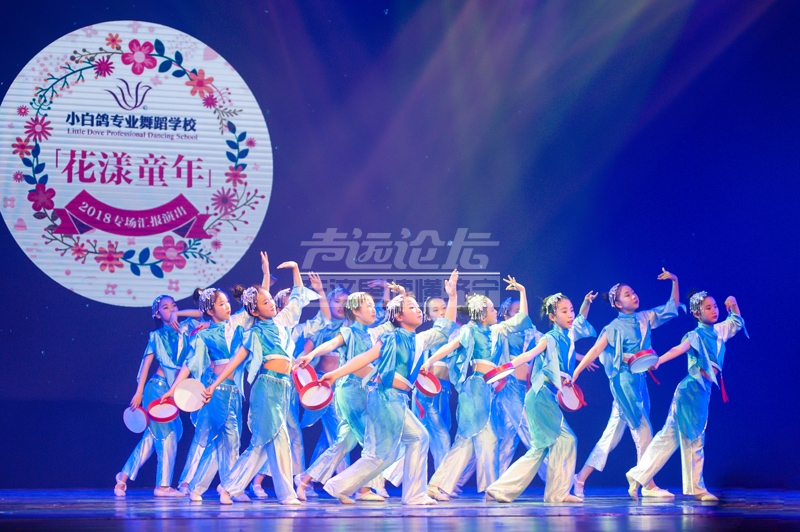 山东济宁小白鸽专业舞蹈学校