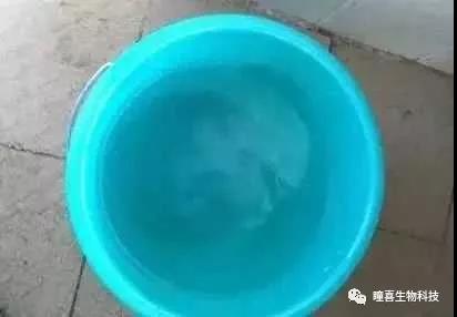 微信图片_20180718113255.jpg
