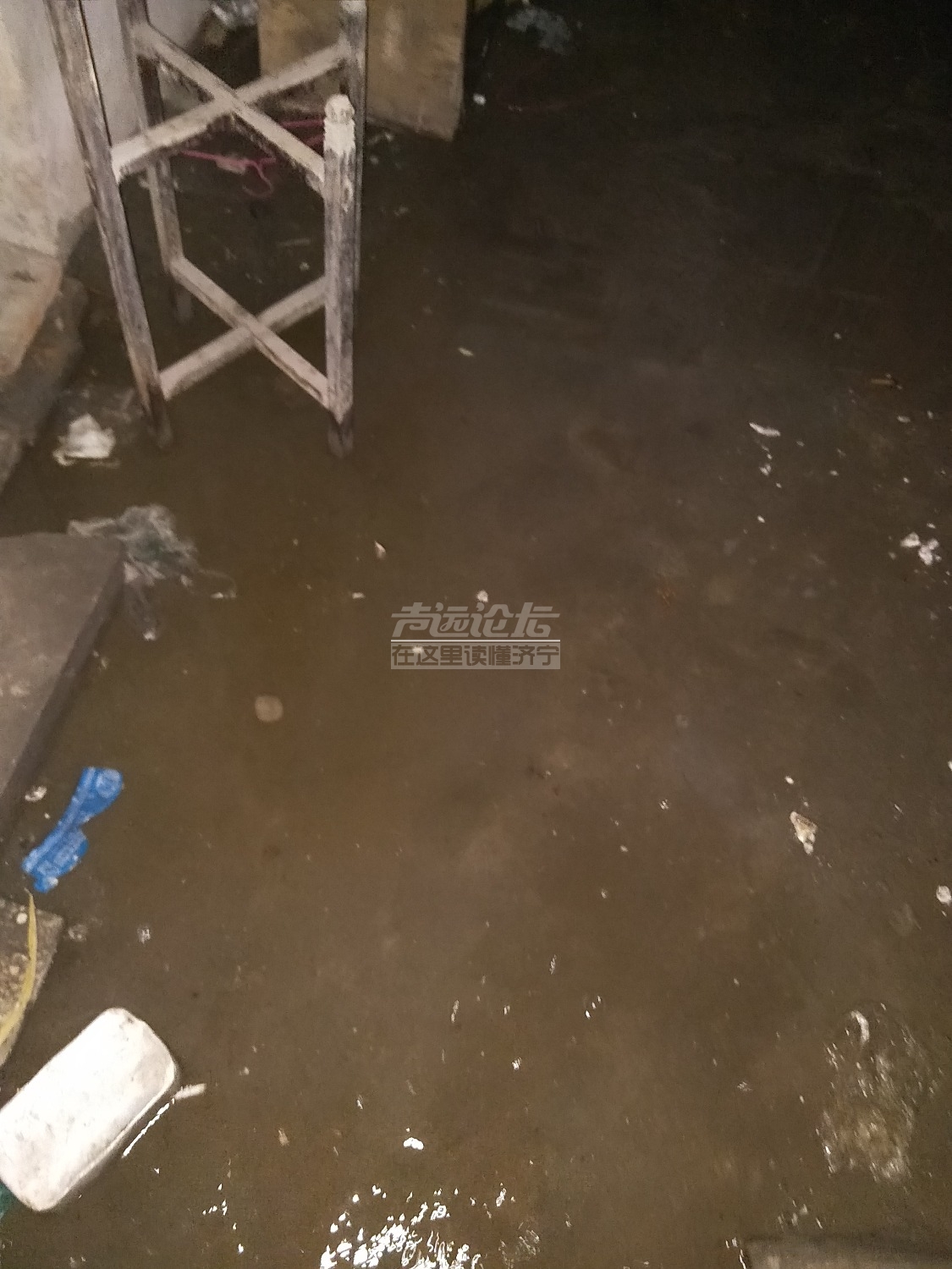 IMG20180819065622.jpg