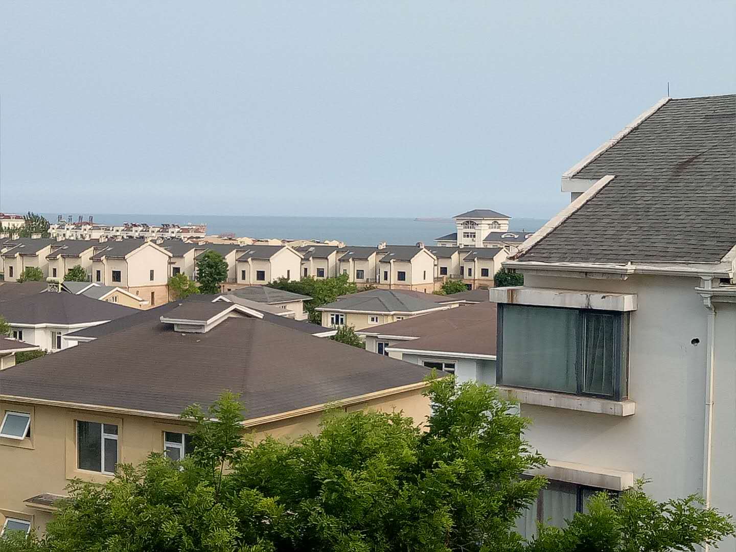 教授花园8楼景色