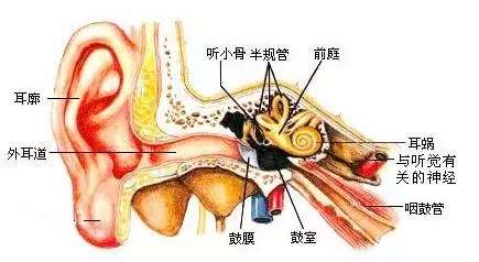 微信图片_20180913120548.jpg