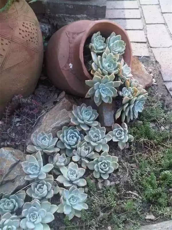 微信图片_20180915150446.jpg
