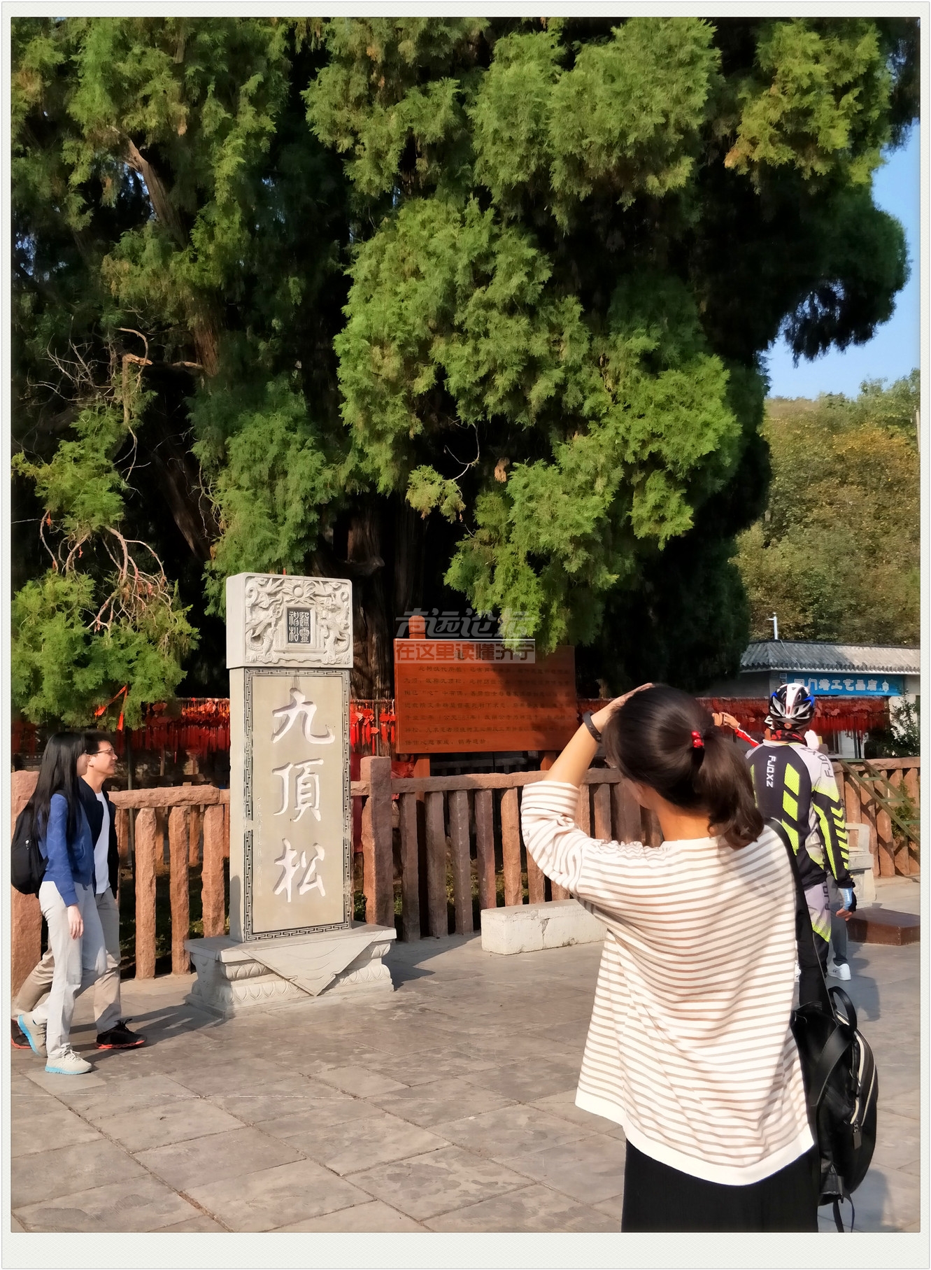 IMG20181004150513.jpg