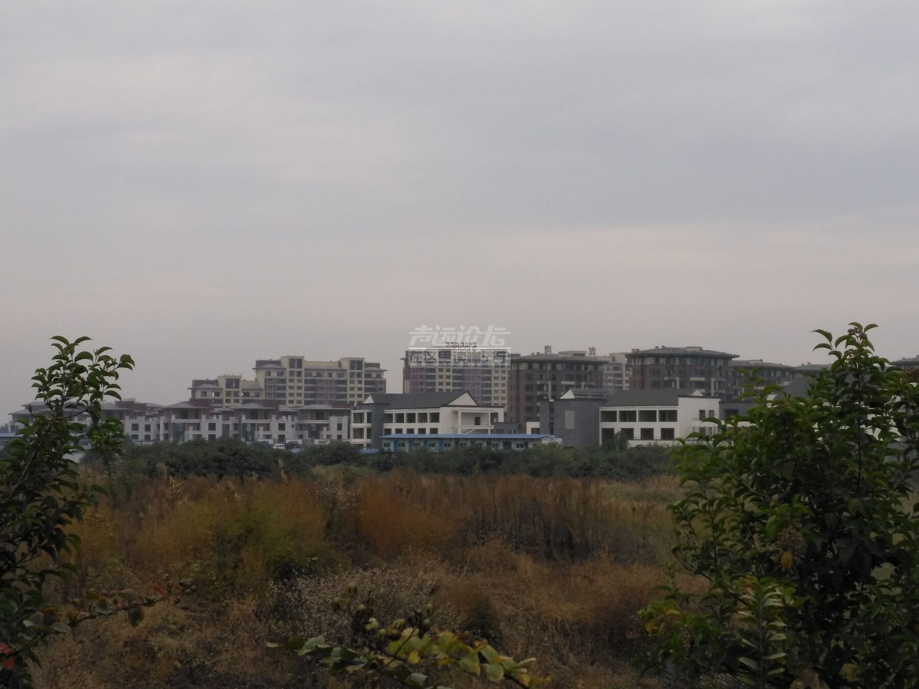 QQ图片20181022091411.jpg