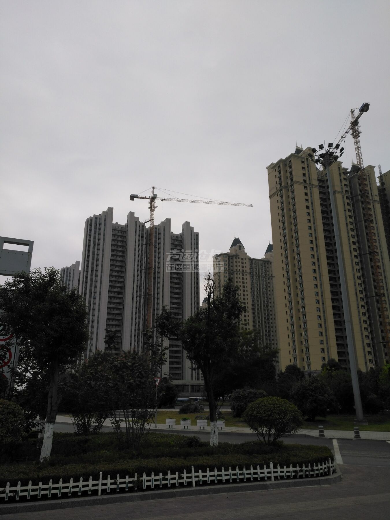 QQ图片20181022093725.jpg