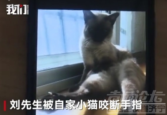 QQ图片20181029104318.jpg